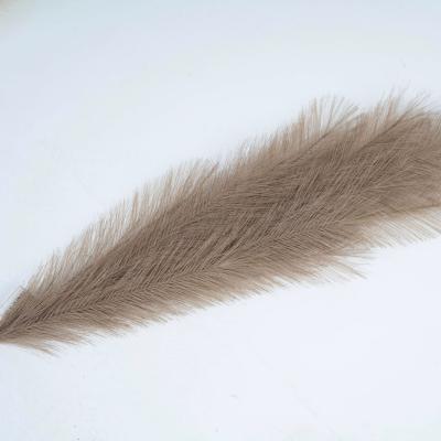 China Top Selling Natural Amazon Touch Fake Pampas Pampas Grass 9 Forks Artificial Pampas Forks For Home Decoration for sale