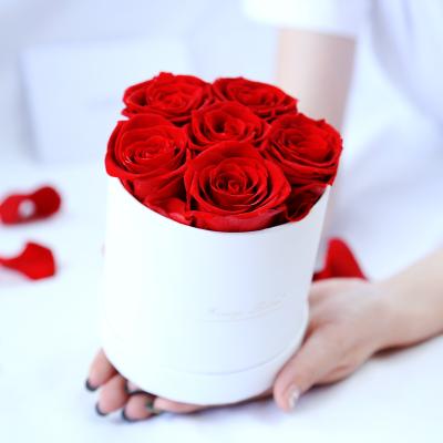 China Preserved Roses Wholesale A Grade 50 Colors Eternal Immortal Infinity Stabilized Forever Preserved Roses In Gift Box Perfect Valentines Day Gift for sale