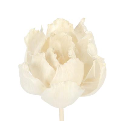 China DIY Art Green Flowers Sola Wood Flower Reed Diffuser Sola Wood Roses Peony Artificial environmental protection for home fragrance for sale