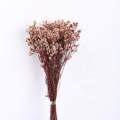 China Best Flower Arrangement Decoration Award Crystal Flower Dried German Statice Durable Preserved For Wedding Party Event Home Decoration for sale