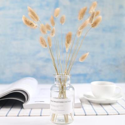 China Amazon Yunnan Factory Supply 2021 Fashionable Natrual Factory Dry Rabbit Tail Second Hand Yunnan Tail Grass Hot Selling Products for sale