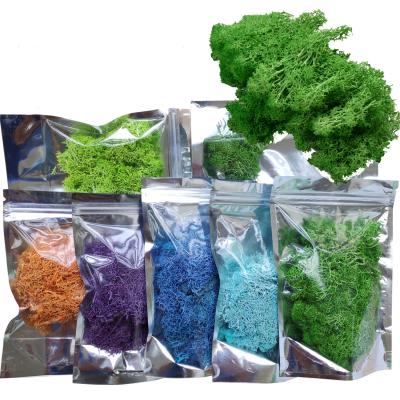 China Natural Touch Manufacturer Wholesale 10g Preserved Moss To Price A Bag 10g Indoor Material Wall Decoration DIY Valentine's Day for sale