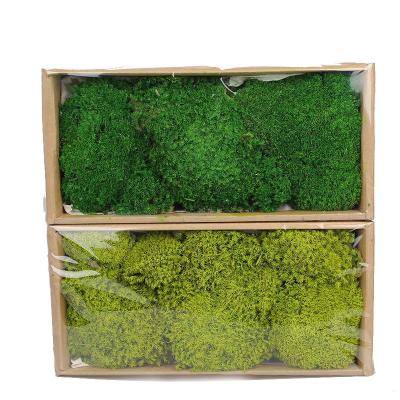 China Modern High Quality Design Wall Art Moss Decor Natural Preserved Ball Moss Pole For Decoration for sale