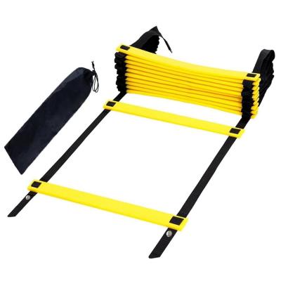 China Durable latex rubber cones set agility ladder with sports for sale