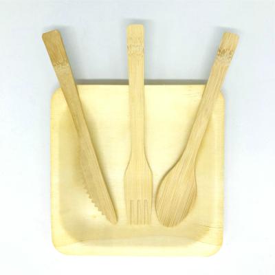 China China Supplier Disposable Cutlery Set Biodegradable Disposable Knife Fork And Spoon Bamboo Spoon for sale