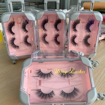 China Mini Eyelash Suitcase Case Natural Soft Natural Package Style Vegan Eyelash Vendor Fluffy 3d Mink Lashes Wholesale for sale