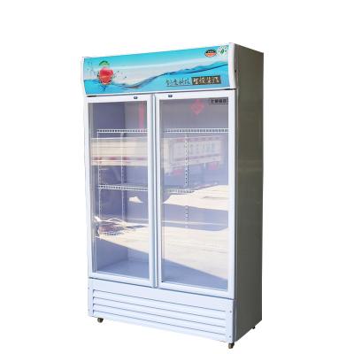 China Commercial Single-temperature Display Freezer Fridge Refrigerator With High Quality for sale