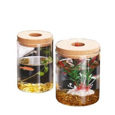 China Viable Clear Glass Bottle Factory Price Small Betta Bottle Easy Carry Fish Tank Mini Betta Fish Tank for sale