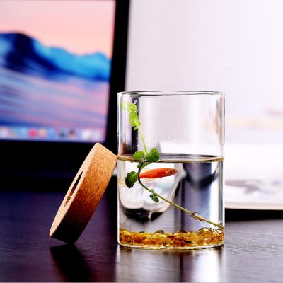 China 2021 Viable New Products Landscaping Bottle Glass Mini Betta Fish Tank Office Desktop Diy Ecological Landscape Aquarium Small Tank for sale