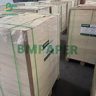 Cina Harmless C2S Glossy Paper C1S Cardboard 115gsm 130gsm Art Paper Sheets 79cm X 109cm in vendita