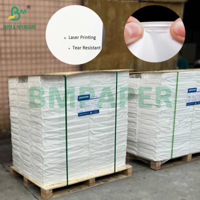 China Impresión con láser de doble cara de 230mic 250mic Papel sintético SRA3 Tamaño 320 X 450mm en venta