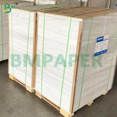 China 135-350 GSM Rolo de papel para recipiente de alimentos de alta rigidez para tigela de papel à venda