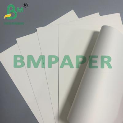 China 0.4mm Tapetes de cerveja Papel absorvente Folhas de cartão branco natural não revestidas à venda