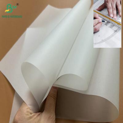 China 83 Gramm 93 Gramm 70 X 100cm Durchsichtiges Pflanzenpapier für die Konstruktion zu verkaufen