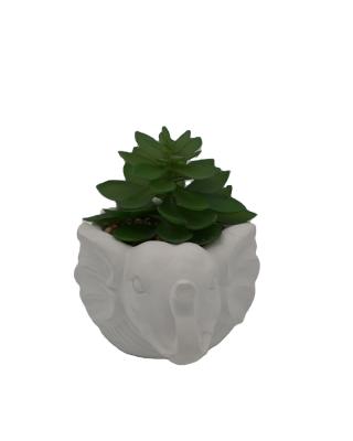 China Hot Sales Exquisite Ceramic Cement+plastic Amazon Decoration Exotic Artificial Plants for sale