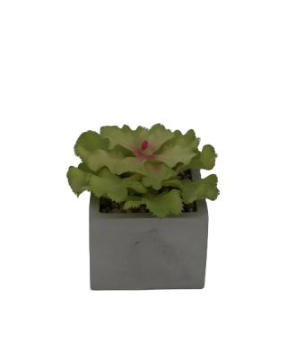 China Cement+plastic cheap price simulated plastic green leaves artificial soil for artificial plants for sale