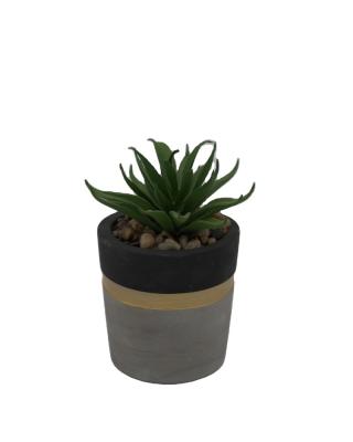 China Custom Cement+plastic Size Indoor Artificial Plants Artificial Cuctus With Pot for sale