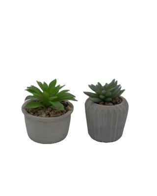 China Real Potted Cement+plastic Home Touch Planters Wild Artificial Plant With Pot Green for sale