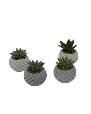 China Commercial Artificial Cement+plastic Plants Realistic For Hotel Decorations for sale