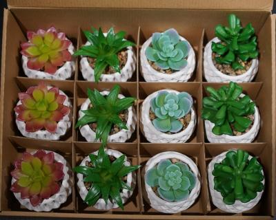 China Cement+plastic Multiple Styles Lifelike Artificial Plastic Mini Potted Succulent for sale