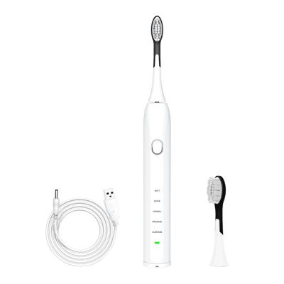 China USB Cordless Rechargeable Teeth Cleaner Powered Vibrate Automatic Sonic Electric Dog Toothbrush For Oral Care for sale