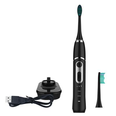 China Hot selling rechargeable battery ipx7 39000 strokes dual switch sonic electric toothbrush for European market with CE FCC rohs for sale