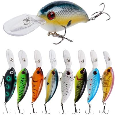 중국 Made in China 3D Realistic Eyes for Freshwater and Saltwater Lakes Sea Fishing Lures TN2021 판매용