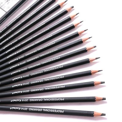 China Office & Professional Pencil H&X 14pcs/set 12B 10B 8B 7B 6B 5B 4B 3B 2B B HB 2H 4H 6H School Graphite Sketching Charcoal Pencils Set For Drawing for sale