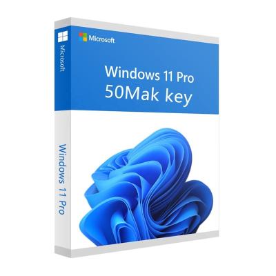 China Professional Windows 11 50 Mak Key By Email Fast Delivery Digital Key Windows 11 Pro Key Win 11 Pro for sale