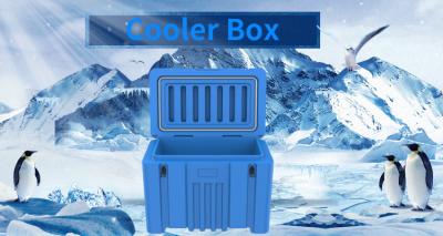 China Waterproof 240L Camping Cooler Box Rotomolded Ice Chest Plastic Cooler Case For Increasing Picnic for sale