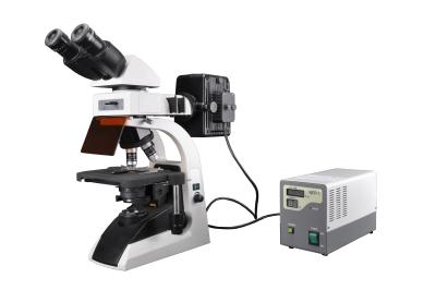 China BS - 2072FT binocular compound microscope Seidentopf BiOptionalcular Viewing Head for sale