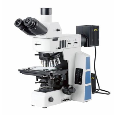 Chine Système différentiel de contraste d'interférence de Nomarski du microscope BS-6060 optique métallurgique à vendre