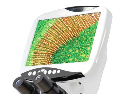 China microscopio ancho 1920 del ocular WF10 ×/18 LCD Digitaces del campo de la resolución de vídeo 1080/30fps del × BLM - 260 en venta