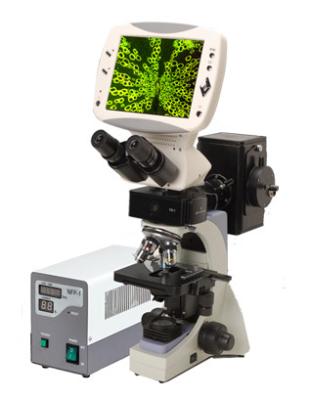 China 5 Mega Pixels Compound Digital LCD Fluorescence Microscope With 8 Inches TFT Screen for sale