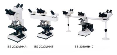 China School / Laboratory Biological Multi-Head Microscope with LED Illumination Adjustable for sale