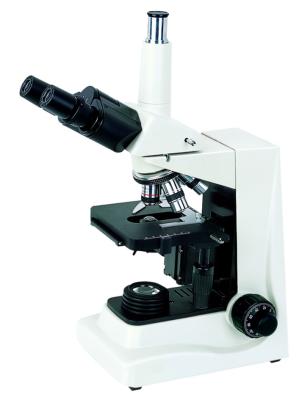 China High Brightness Optical System Compound Biological Microscope For Medical Area for sale