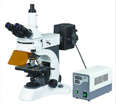 China Excellent Upright Fluorescent Microscope with High Resolution Fluorescent Objectives for sale