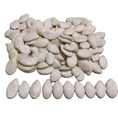 China Dry Factory directly supplier High quality with nice price Pumpkin seeds with shell for sale