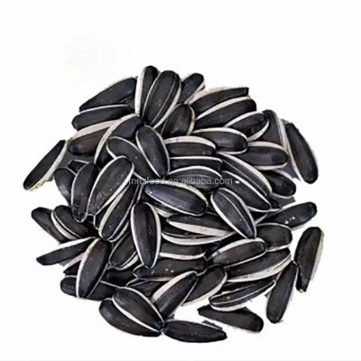 China Dired raw seeds Hot selling Sunflower seeds New crop High quality for Roasting Raw bulk Sunflower seeds for sale