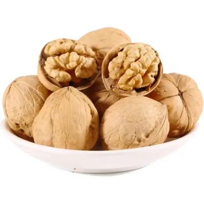 China Dried Chinese Wholesale Top Quality Yunnan 185 33 Xiner Xinfeng Xingfu Raw Walnuts In Shell for sale