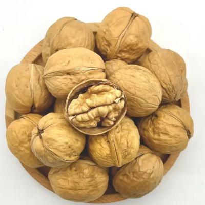 China Dried Whole Sale Price Hulled Pieces Walnuts With Thin Shell or Walnut Kernels for sale