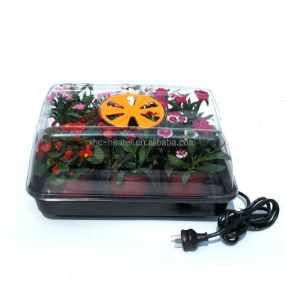 China Plastic Sprouting Plastic Trays for sale