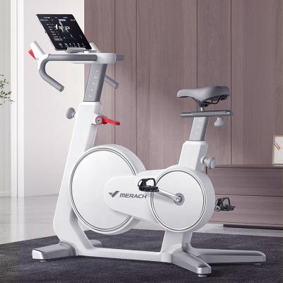 China SWAN 8KG Home Indoor Flywheel Exercise Fitness Center Use MERACH Electromagnetic Rotation Indoor Bike for sale