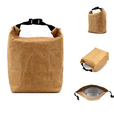 China Who respects the environment. Custom Eco-Friendly Durable.insulated Tyvek Travel Lunch Bag Foldable Insulated Waterproof Picnic Insulated Tyvek Lunch Cooler Thermal Paper Bag for sale