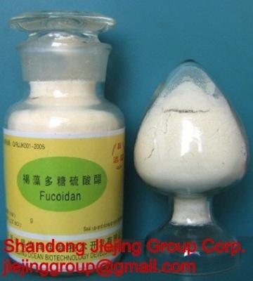 China brown algae fucoidan for sale