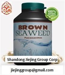 China natural brown seaweed wakame extract fucoxanthin 1%, 5%, 10% 20% powder ingredients for sale