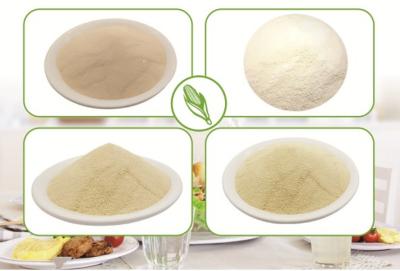 China xanthan gum stabilizer for sale