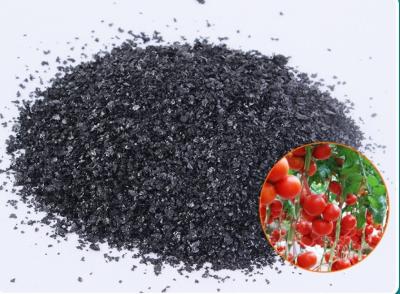 China soluble seaweed extract powder/flakes for sale