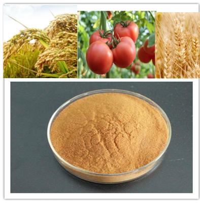 China Chitosan oligosaccharide agriculture use for sale