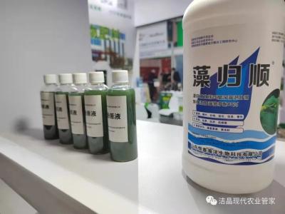 China seaweed extract as biostimulant for sale